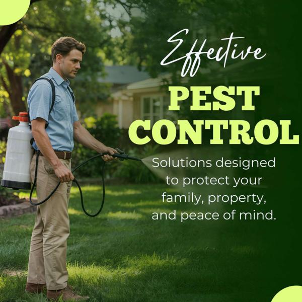 health protection from flies