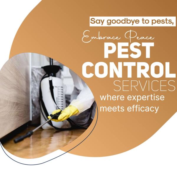 small pests big problems