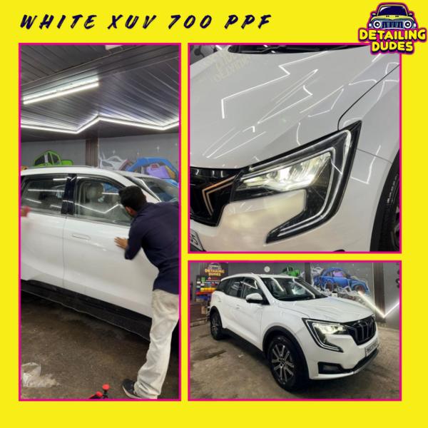 professional ppf installation 