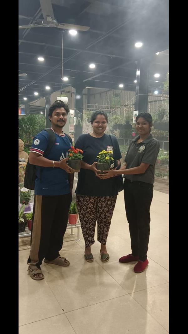 quality nursery plants trichy