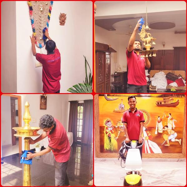 Professional house cleaning se