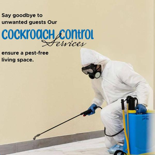 effective bed bug control