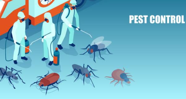 Fly control becomes essential 