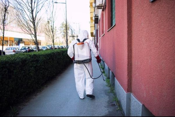 Termite control is particularl