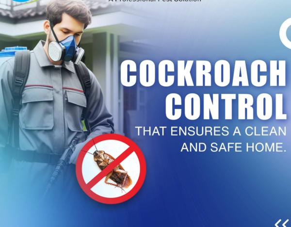 effective bed bug control