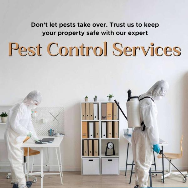 free pest inspection today