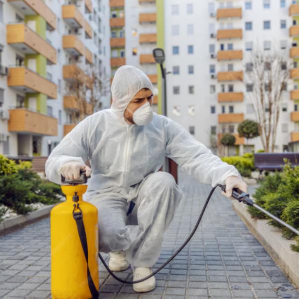 **Pathrol Pest Control** is a 