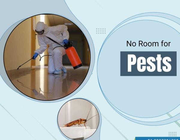 eliminate flies and germs