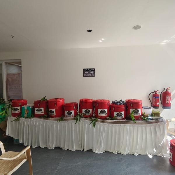 akki s and vikki s kitchen cat