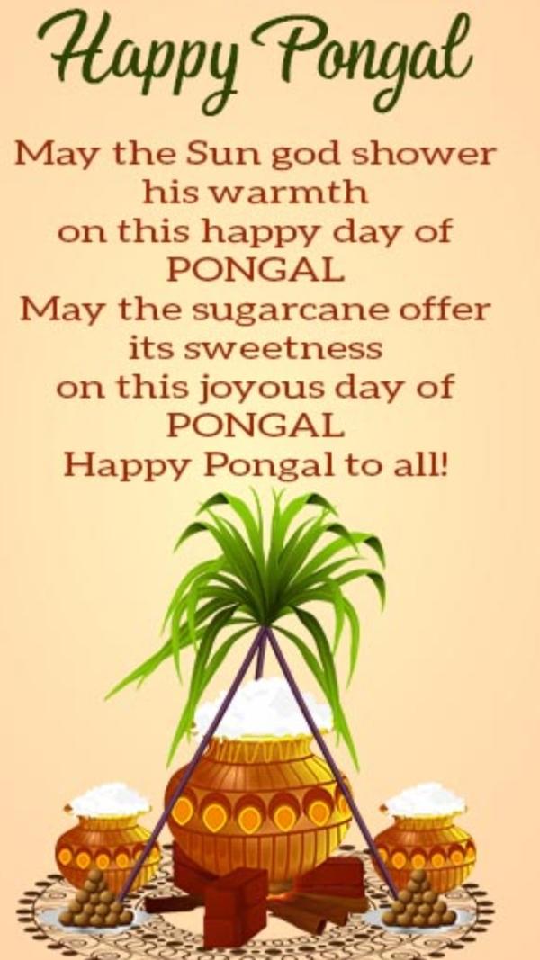 Car service chennai OMR Torque