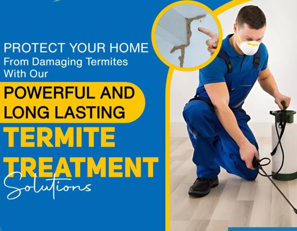 cockroach termite bed bugs rat