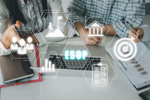 financial performance analysis