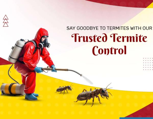 cockroach termite bed bugs rat