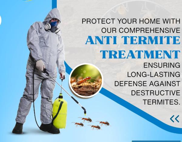 fly protection for property