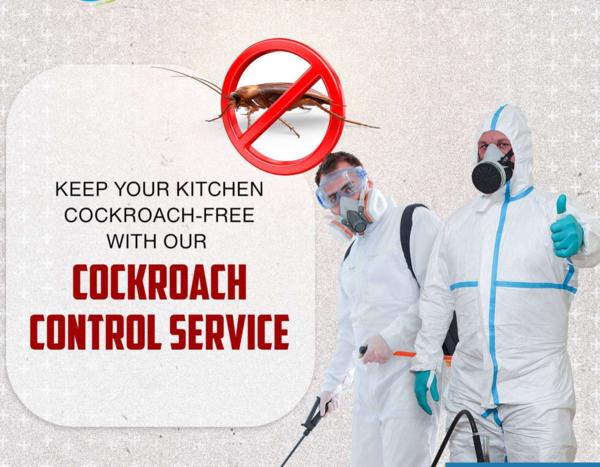 reliable pest control company