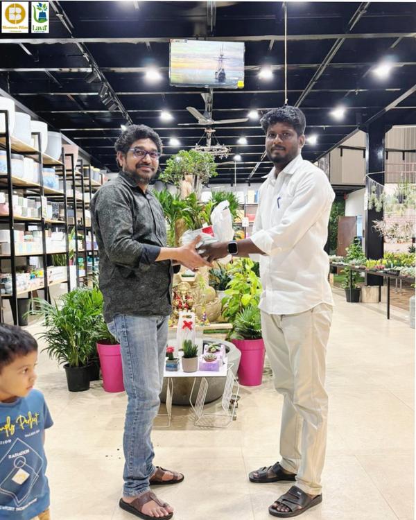 warm humid climate plants