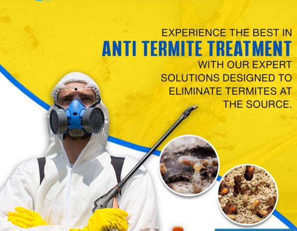 focused bed bug action