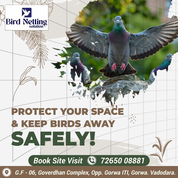 Best SS Bird Spike in Vadodara