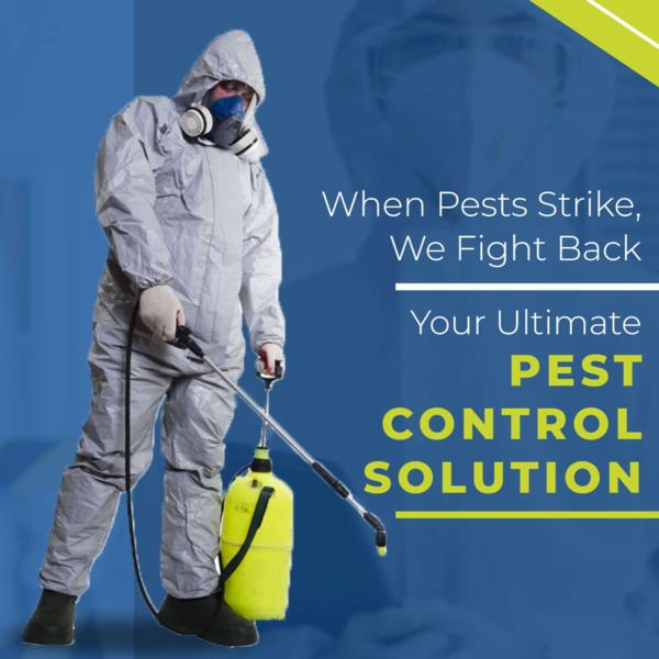 pest control in kandivali