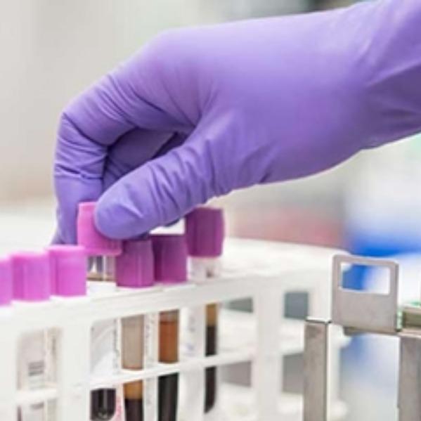 Your Health, Trusted Care: Bes