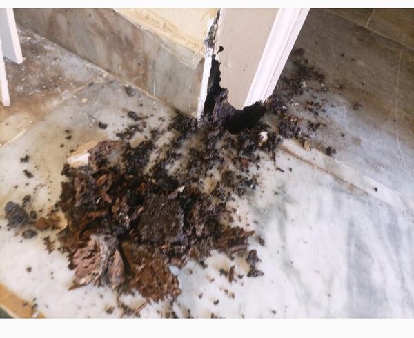 Neyar termites control service