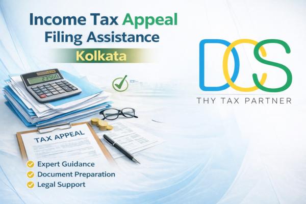 professional tax assistance ho