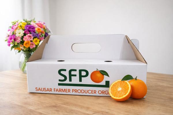 In today’s growing agricultural market, packaging 