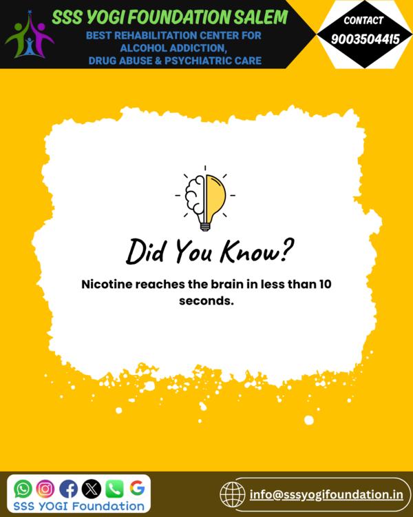 substance free life preparatio