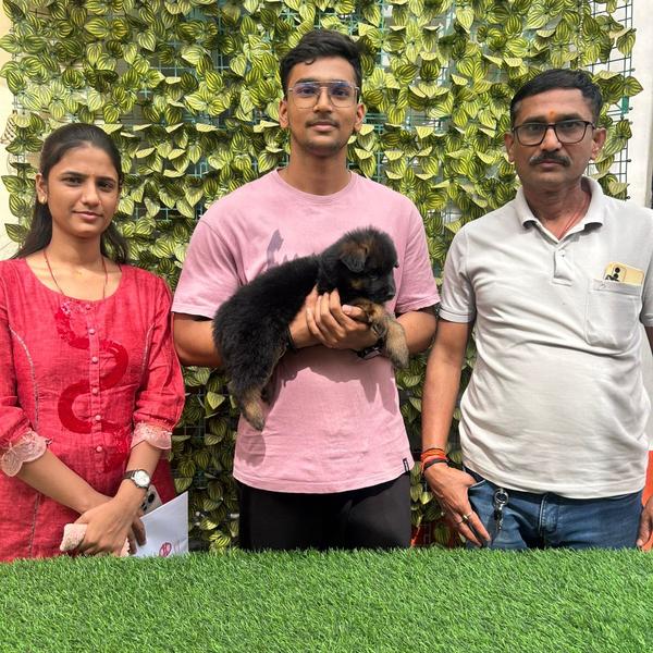 legal pet breeding practices k