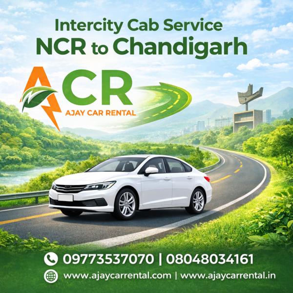 professional chauffeur support