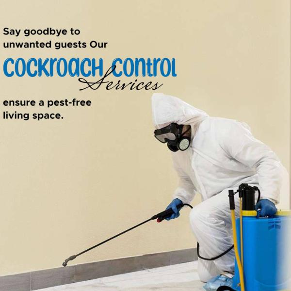 health protection from flies