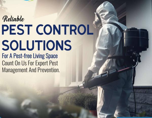 bed bug satisfaction guarantee