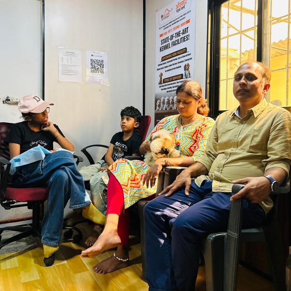 Trusted Dog Puppy Seller in Ma