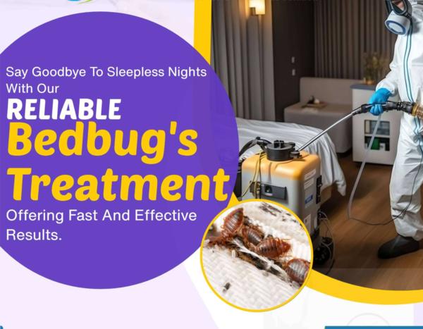 focused bed bug action