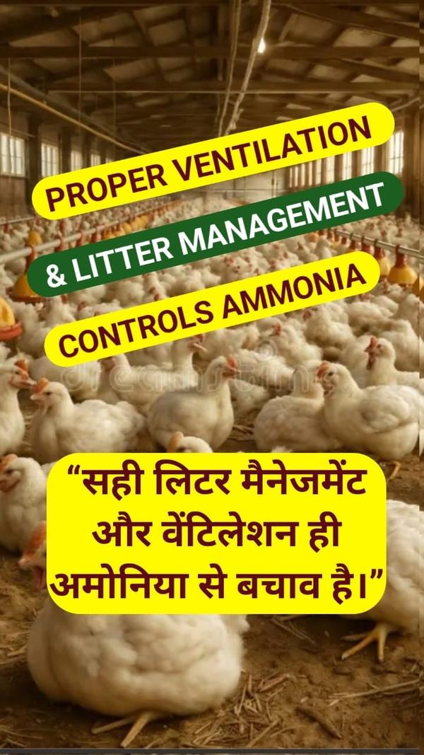 Poultroxy by Focon Inc –