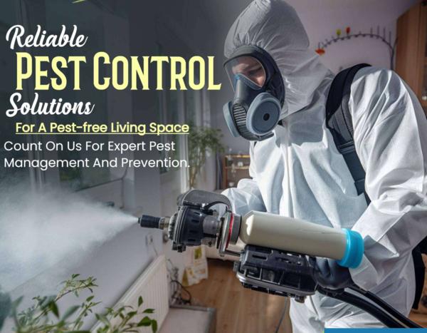 health protection from flies