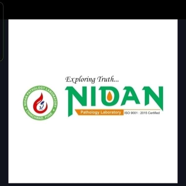 lungs pleural effusion