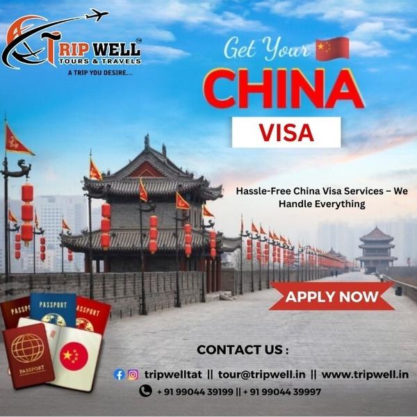 tourist visa consultation serv