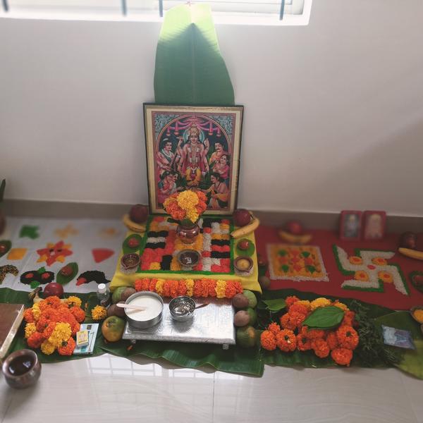 Here’s how you can book a Nort