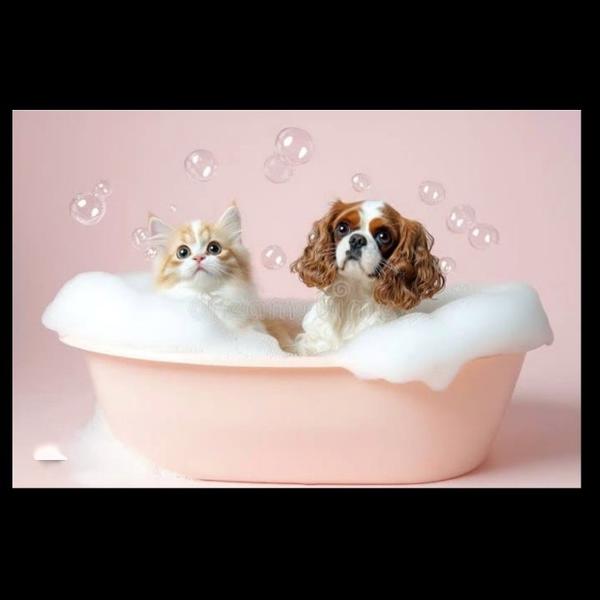 medicated baths for fungal inf