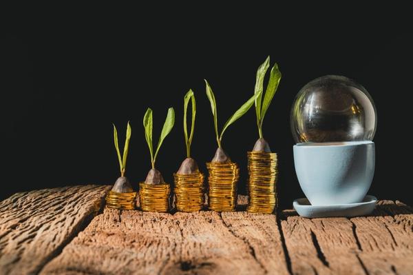 Systematic Investment Plans (S