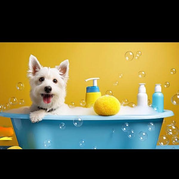 safe veterinary services chemb