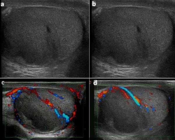fertility assessment rohini de
