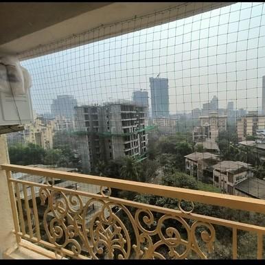 bird netting in gb road #bird