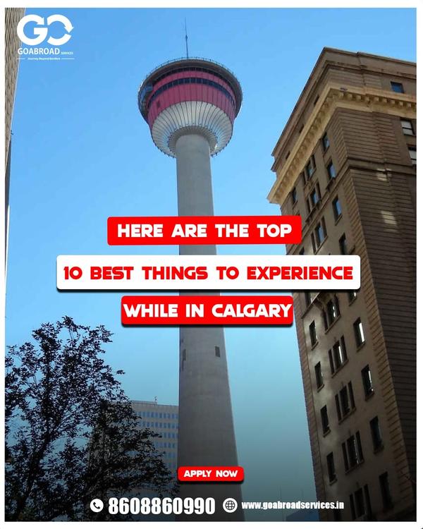 best things to experience in c