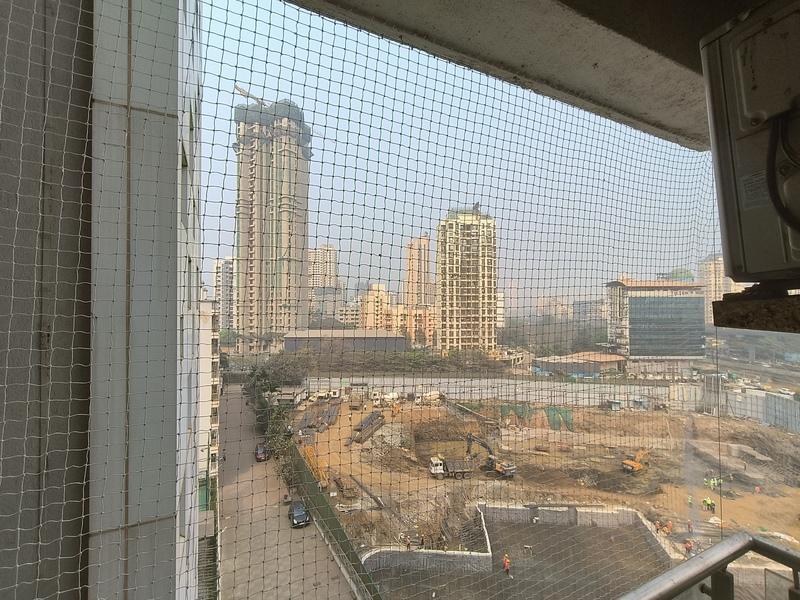 bird netting in gb road #bird