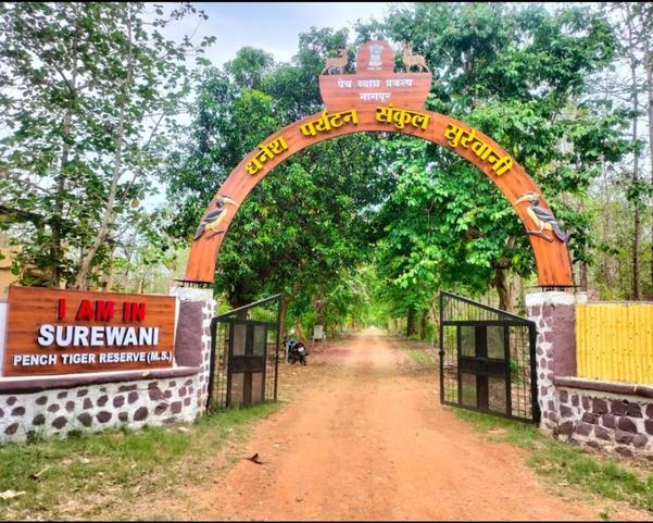 Decoration work in FRP work in Nagpur is widely us