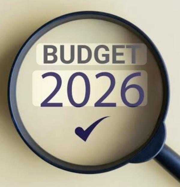 Budget 2026: Which sectors are