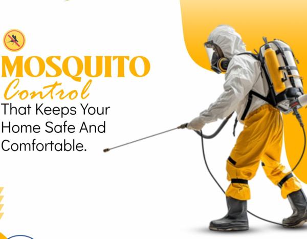 No Harmful Chemicals | Safe fo