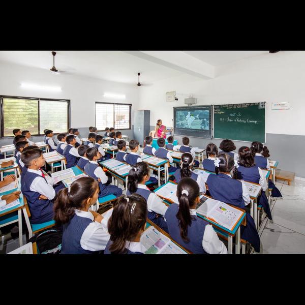 Looking for an affordable